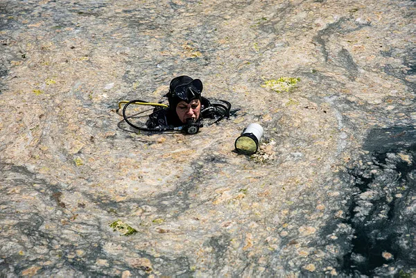 YÖK'ten flaş karar! Müsilajı araştırana burs!-3