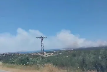 Çanakkale'de orman yangını! Bölgede kırmızı alarm