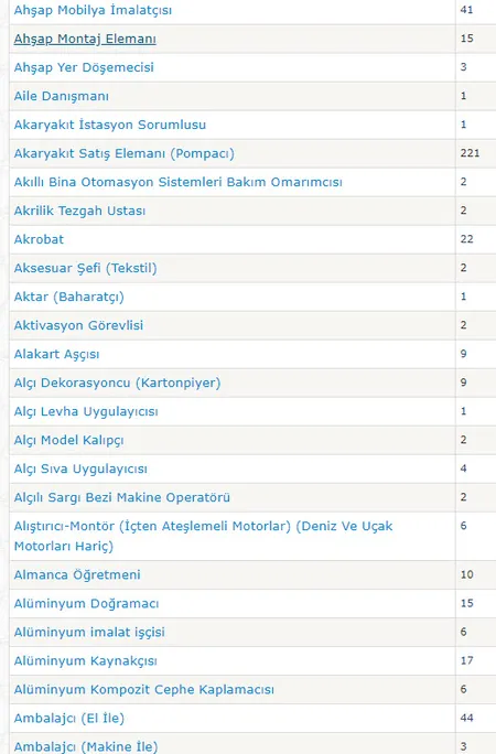 15- 19 Temmuz İŞKUR haftanın ilk iş ilanları: İşte İŞKUR kamu personeli alımı başvuru şartları açıklaması-4