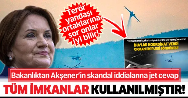 Tarım ve Orman Bakanlığından Meral Akşener'e Gelibolu yangını yanıtı: Tüm imkanlar kullanılmıştır-1