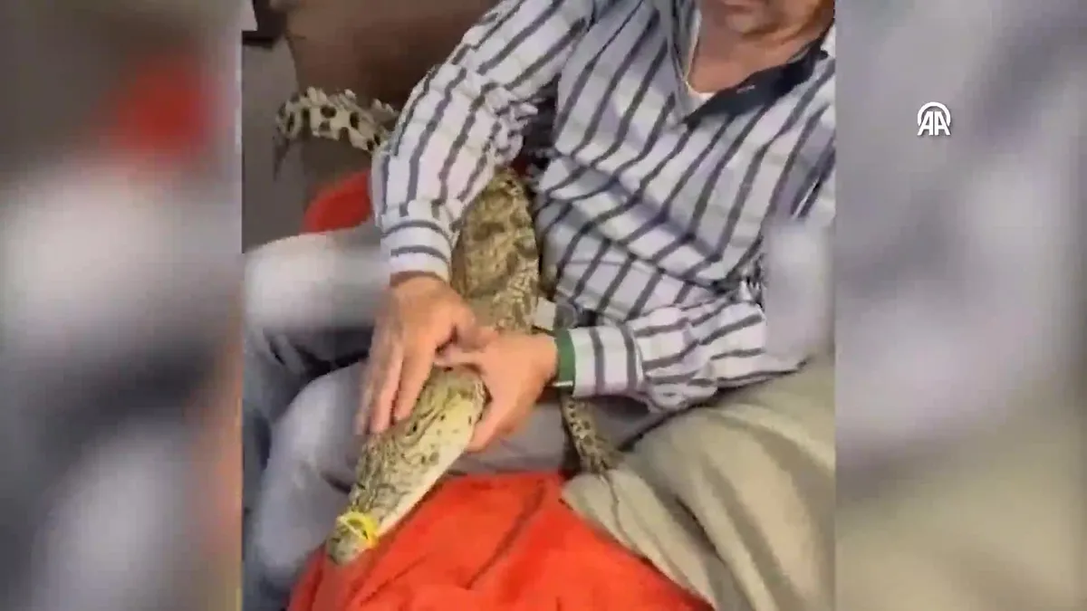 Kartal'da timsah operasyonu!