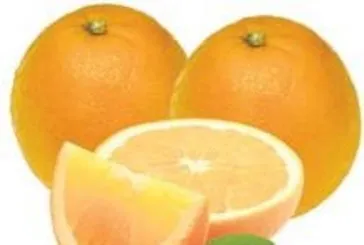 Çok güzelsin portakal