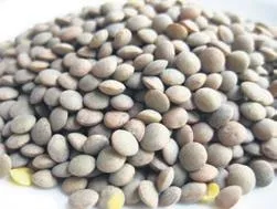 Tarımla ilgilenenlere dev devlet desteği! Az su isteyen bitki dikene ilave destek-6