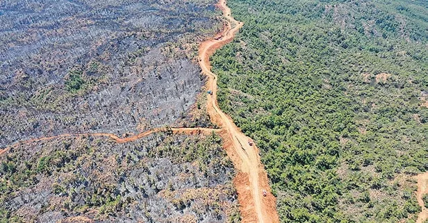 Marmaris'teki yangında 4500 hektarlık alan telef oldu! Ormanın daha az zarar görmesini hayat koridoru engelledi