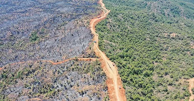 Marmaris’teki yangında 4500 hektarlık alan telef oldu! Ormanın daha az zarar görmesini hayat koridoru engelledi