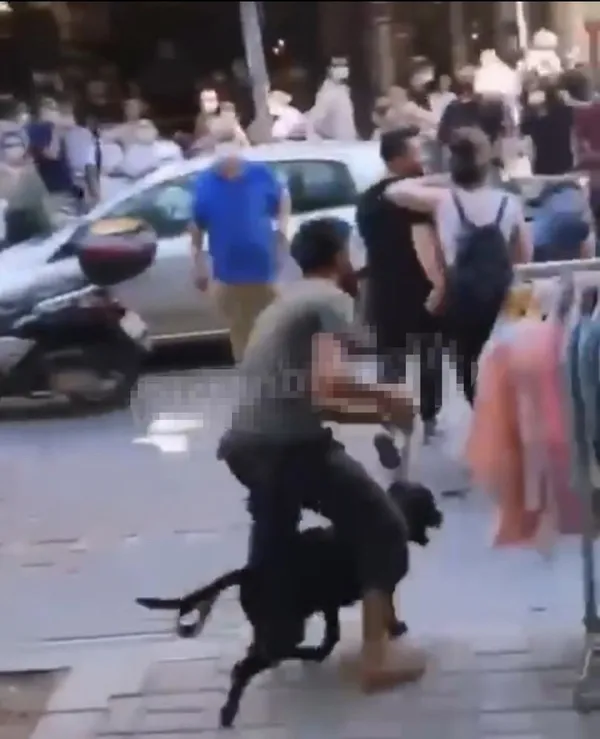 besiktasda-labrador-retriever-cinsi-kopegini-vatandaslarin-uzerine-suren-sahis-saklandigi-yerde-kiskivrak-yakalandi-1625988178087.jpg Beşiktaş'ta Labrador Retriever cinsi köpeğini vatandaşların üzerine süren şahıs saklandığı yerde kıskıvrak yakalandı-5