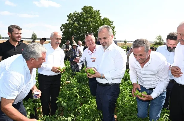 Bursa Büyükşehir Belediyesi'nin tarlada izi var-3