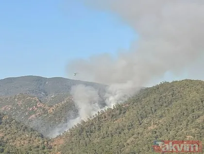 SON DAKİKA: Marmaris’te orman yangını! Otogarın arkasından alevler yükseliyor
