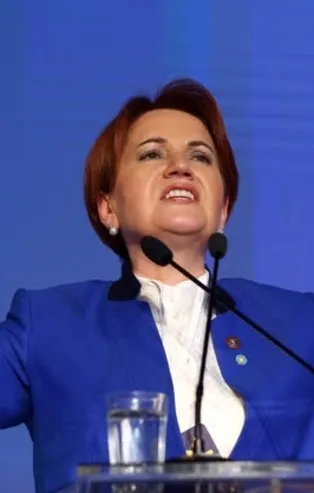 FETÖ Meral Akşener'i neden destekledi?