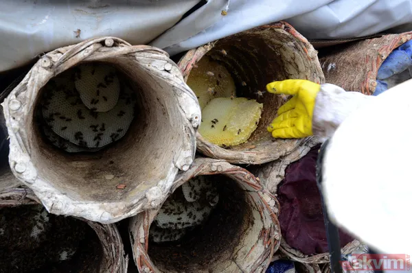 Kilosu 350 TL! 3 bin rakımda üretilen karakovan balından bu yıl 250 ton bekleniyor - 2