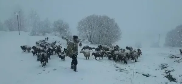 dogu-anadolu-degil-artvin-savsat-ve-ardanuca-mayista-kar-yagdi-1651755051661.jpg Doğu Anadolu değil! Artvin Şavşat ve Ardanuç'a mayısta kar yağdı-7