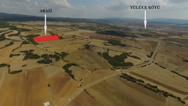 Koronavirüsten sonra talep patlaması! Fiyatlar yüzde 400 arttı! Altından daha yüksek kâr-5