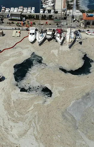 Son dakika: Çevre ve Şehircilik Bakanı Murat Kurum müsilajdaki son durumu açıkladı!