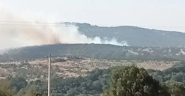 Balıkesir’in Savaştepe ilçesindeki orman yangını kontrol altında: 10 hektar alan zarar gördü
