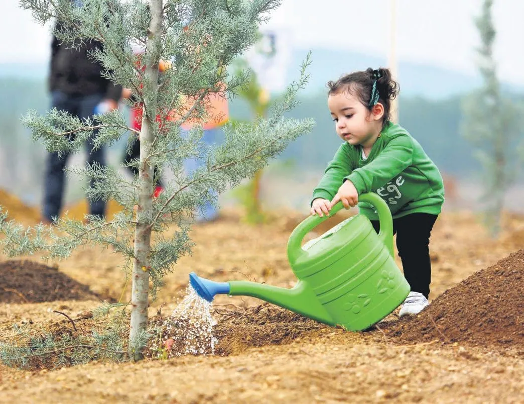 Rekor ağaca rekor davet
