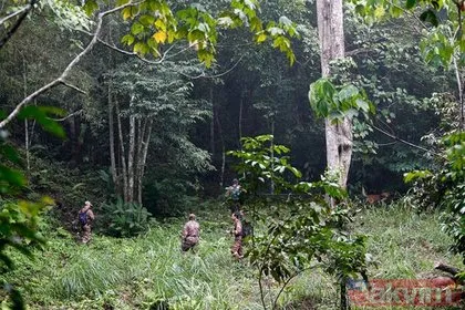 Bir haftadır aranıyordu! 15 yaşındaki kızın ormandaki korkunç ölümü