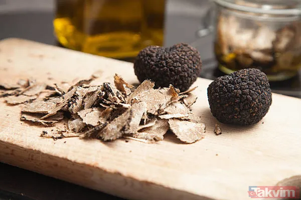 Köpekler buluyor! KİLOSU 72 BİN TL! Siz de toplayıp para kazanabilirsiniz! Türkiye'de 225 kilo bulunuyor! - 14