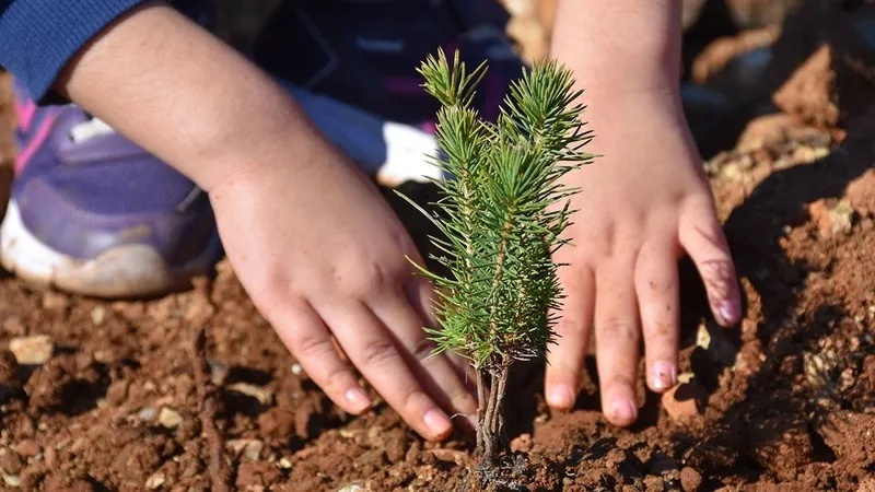 chpli-ibbnin-istanbula-agir-faturasi-673-milyar-tl-buhar-oldu-peki-bu-parayla-neler-yapilirdi-1710269713856.jpeg CHP'li İBB'nin İstanbul'a mega faturası! Ekrem İmamoğlu 5 yılda 67.3 milyar TL'yi buhar etti! Peki bu parayla neler yapılırdı?-15