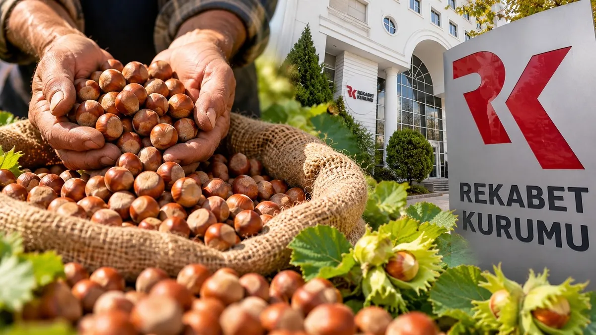 Fındık piyasasında 6 büyük firmaya soruşturma! Rekabet Kurumu'ndan üreticiyi koruyan hamle