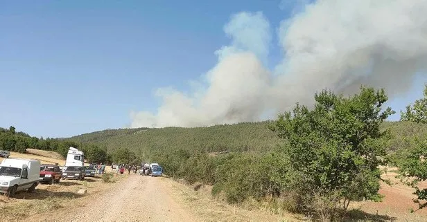Yangın çıkarmaya çalışan kişi gözaltında