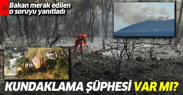 İstanbul Heybeliada’daki yangında kundaklama şüphesi var mı? Bakan Pakdemirli açıkladı!