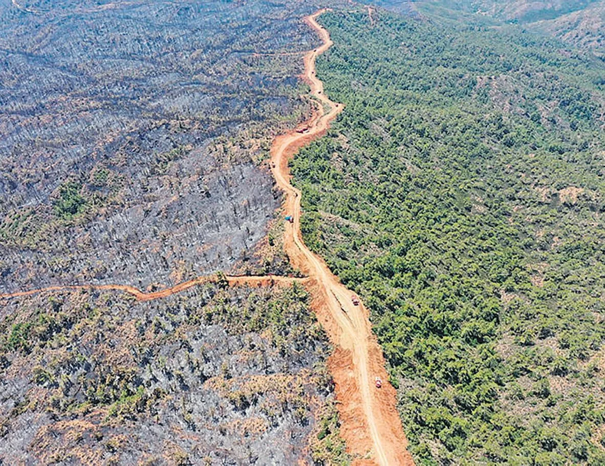 Yeşil yol!