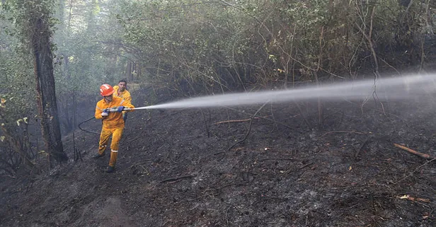 Kastamonu’da orman yangını! Çamlık alana yayıldı