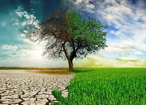 baskan-erdogan-imzayi-atti-cumhurbaskanligindan-turkiye-cevre-haftasi-genelgesi-1653130113044.jpeg Başkan Erdoğan imzayı attı! Cumhurbaşkanlığından "Türkiye Çevre Haftası" genelgesi-3