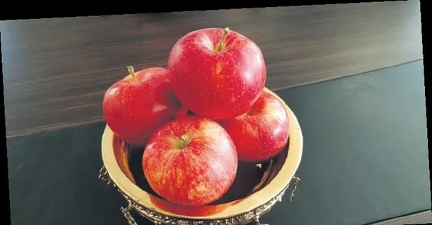 Niğde elması destekleniyor