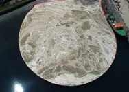 Marmara Denizinde müsilaj deniz salyası istilası! Mücadele için midye tesisi kurulacak