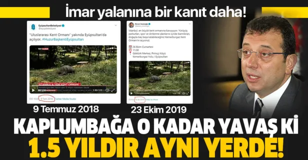 İBB Başkanı Ekrem İmamoğlu'nun kent ormanı yalanını ortaya çıkaran kaplumbağa detayı