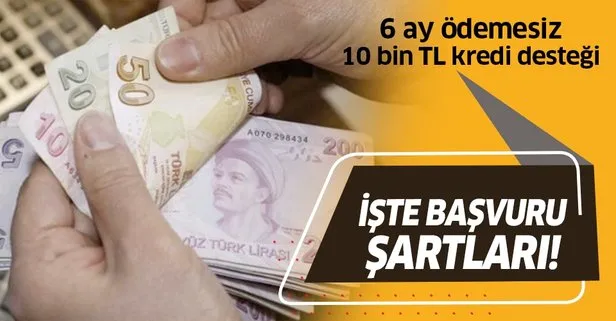 Son dakika: 6 ay ödemesiz 10 bin TL kredi! Ziraat Bankası, Halkbank ve Vakıfbank’ın kredi desteğine başvuru şartları nelerdir?