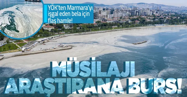 YÖK'ten flaş karar! Müsilajı araştırana burs!-1