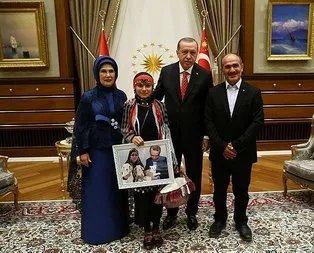 Hamdu Sena, Cumhurbaşkanı Erdoğan’dan keçileri için yol istedi!