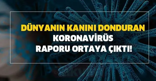 Dünyanın kanını donduran Koronavirüs raporu ortaya çıktı!
