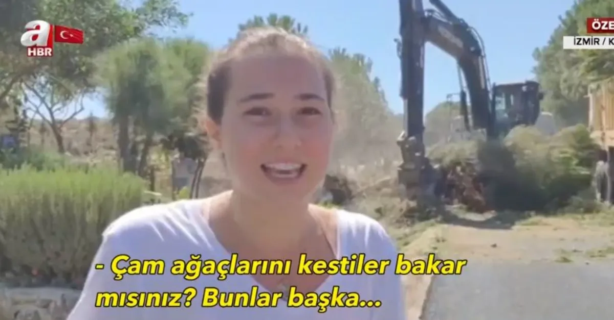 CHP'li belediyeden İzmir Karaburun'da çevre katliamı! Genç kız çam ağaçlarının iş makineleriyle sökülmesini gözyaşları içinde izledi