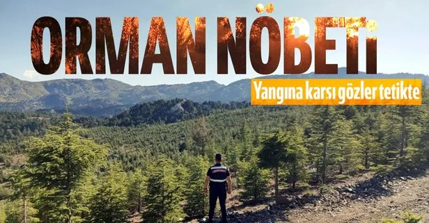 Jandarma orman nöbetinde