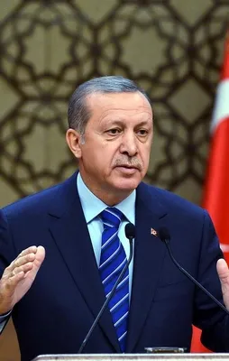 Cumhurbaşkanı'ndan Cizre saldırısına tepki