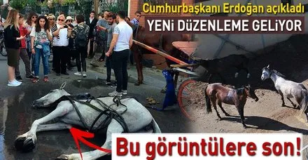 Cumhurbaşkanı Erdoğan Adalar'daki faytonlarda atların kullanılmayacağını açıkladı