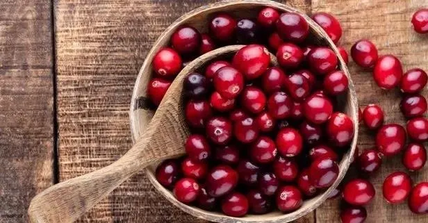 Yüksek oranda C vitamini içeren kızılcık şifa dağıtıyor!