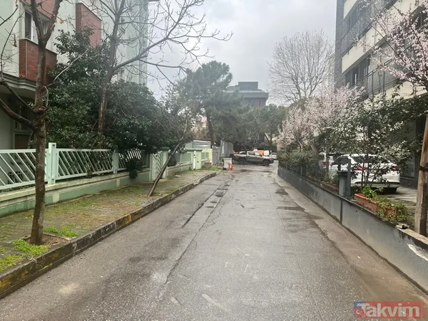 Kadıköy'de kedi katliamı! Toplu ölümler mahalleliyi ayağa kaldırdı - 4