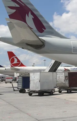 Bakan Zeybekci: Türkiye'den Katar'a 71 uçak gitti