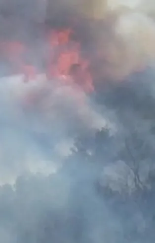 Son dakika: Kocaeli'nin Gölcük ilçesinde yangın! 20 dönüm ormanlık alan zarar gördü