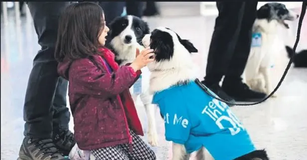 İstanbul Havalimanı’nda terapi köpek hizmeti verilmeye başlandı