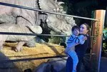 Burak Özçivit ve Fahriye Evcen, Londra’da aile tatilinde dinozor heyecanı yaşadı