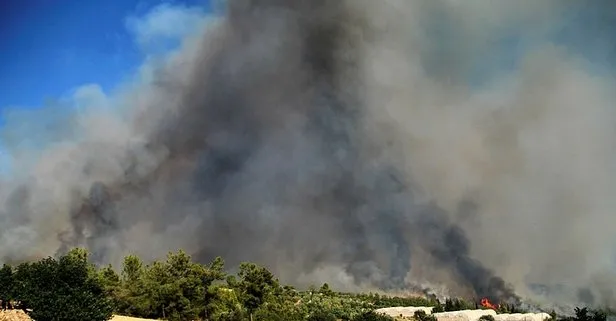 Türkiye yangın haritası! 30 Temmuz yangın olan iller! Yangın hangi illerde devam ediyor?