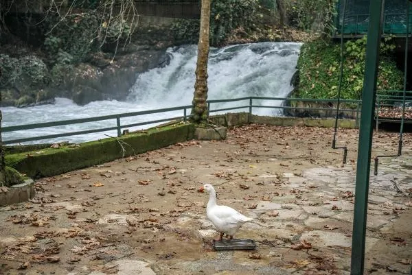 Antalya'da Düden suyu köpürdü! Pis koku vatandaşları isyan ettirdi-5