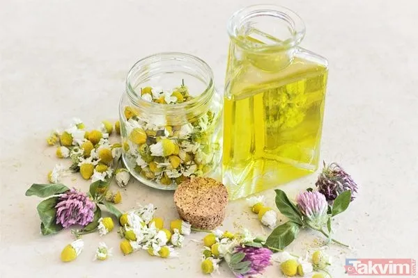 Sinek kovucu doğal yöntemler neler? Sinek ısırığına ne iyi gelir? 1 dakikada sivrisineğe kesin çözüm! - 7