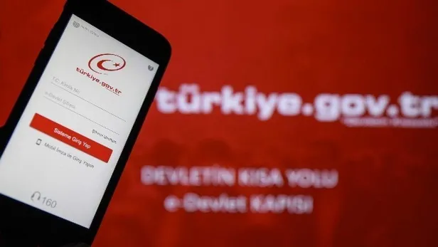 2020'de e-Devlet'ten ehliyet kimlik kartı ve pasaport randevusu için milyonlarca başvuru-3