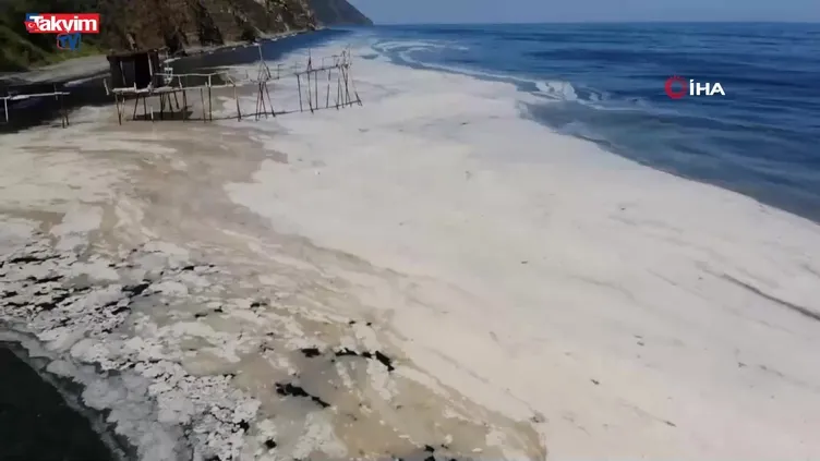 Müsilaj Marmara’da hortladı!